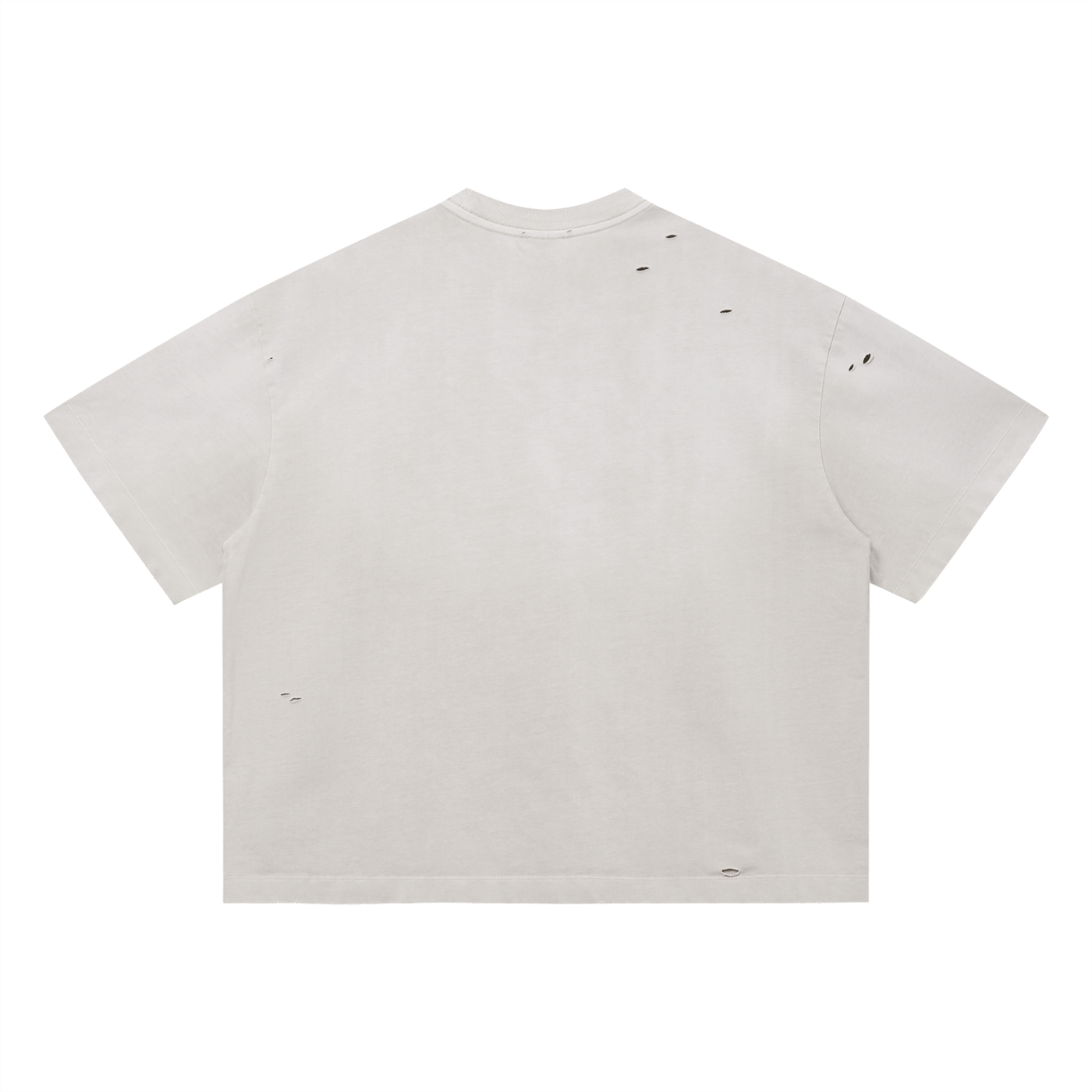 Vintage Washed Boxy Ikigai archive Tee