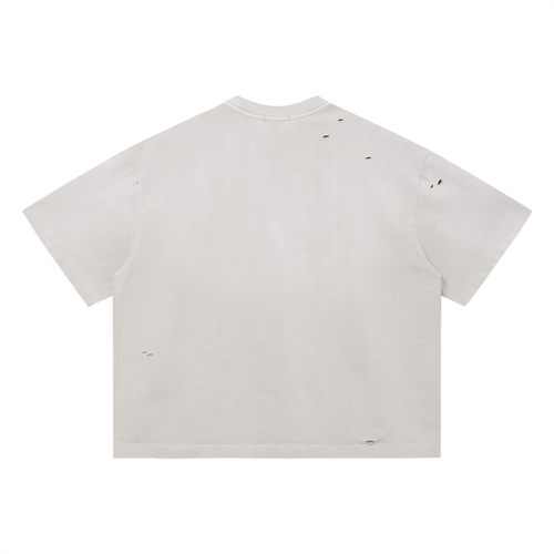 Vintage Washed Boxy Ikigai archive Tee